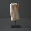 Polished Petrified Wood Freeform on a custom stand PetW/106