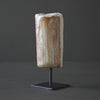 Polished Petrified Wood Freeform on a custom stand PetW/106