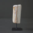 Polished Petrified Wood Freeform on a custom stand PetW/106