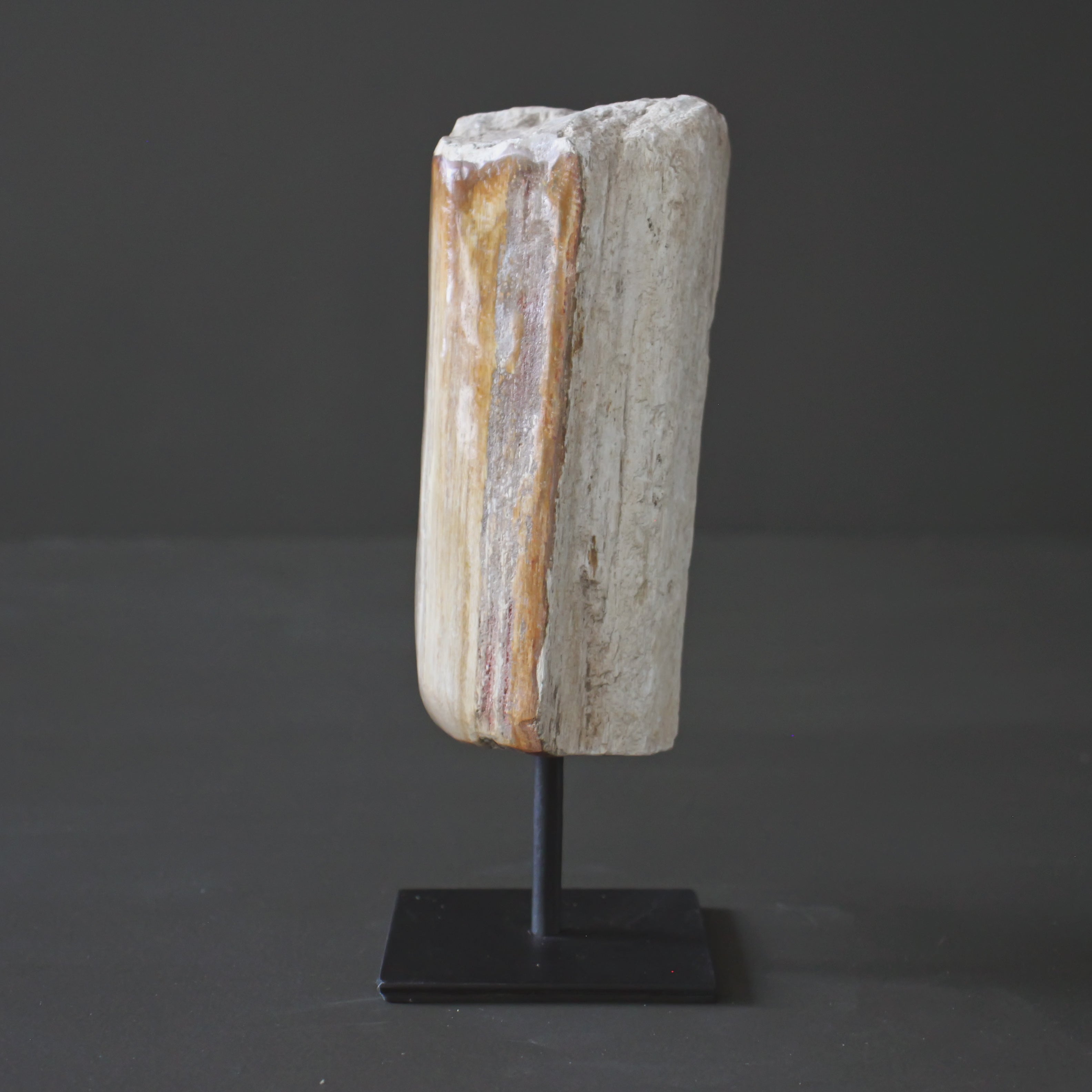 Polished Petrified Wood Freeform on a custom stand PetW/106