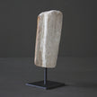 Polished Petrified Wood Freeform on a custom stand PetW/106