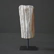 Polished Petrified Wood Freeform on a custom stand PetW/106