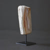 Polished Petrified Wood Freeform on a custom stand PetW/106