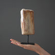 Polished Petrified Wood Freeform on a custom stand PetW/106