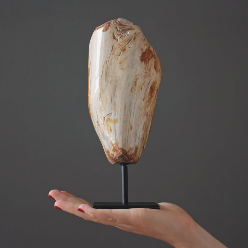 Polished Petrified Wood Freeform on a custom stand PetW/105