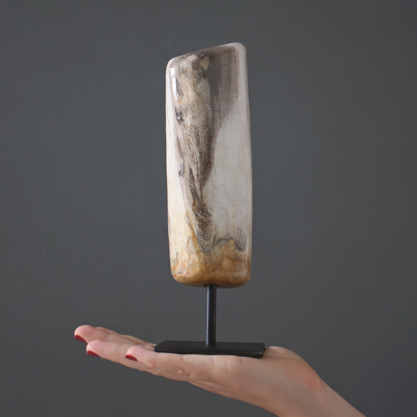 Polished Petrified Wood Freeform on a custom stand PetW/109