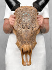 Brown Carved Cow Skull With Abalone Shell Accents - Peacock motif | Skull,A/145