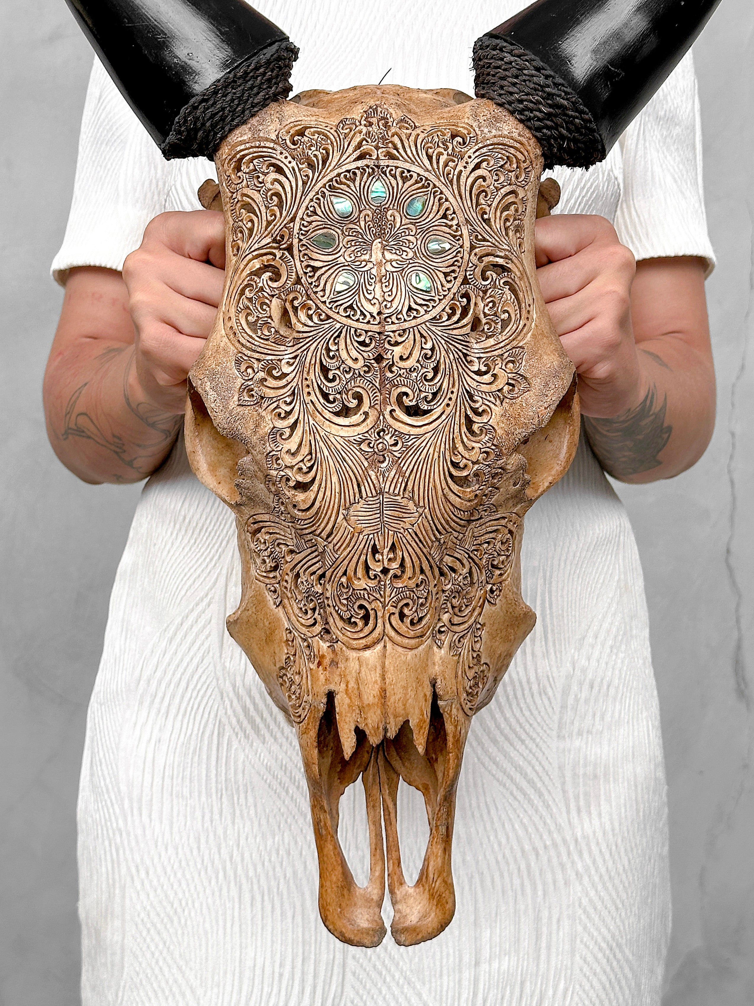 Brown Carved Cow Skull With Abalone Shell Accents - Peacock motif | Skull,A/145