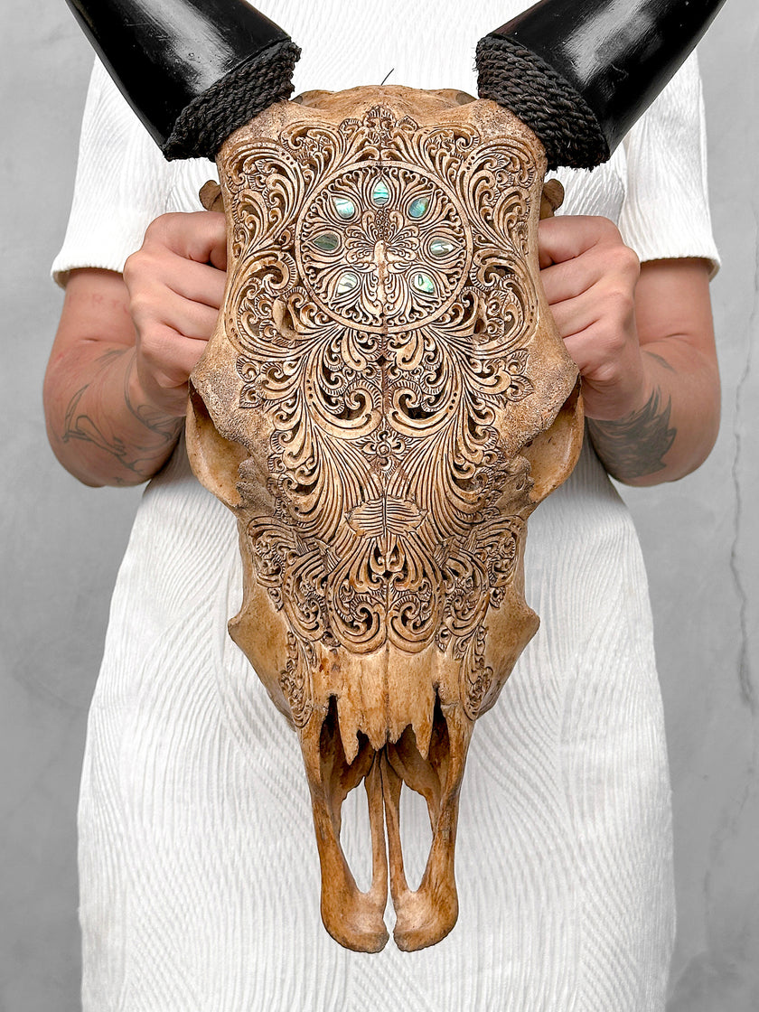 Brown Carved Cow Skull With Abalone Shell Accents - Peacock motif | Skull,A/145