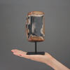 Polished Petrified Wood Freeform on a custom stand PetW/107