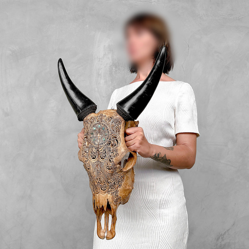 Brown Carved Cow Skull With Abalone Shell Accents - Peacock motif | Skull,A/145