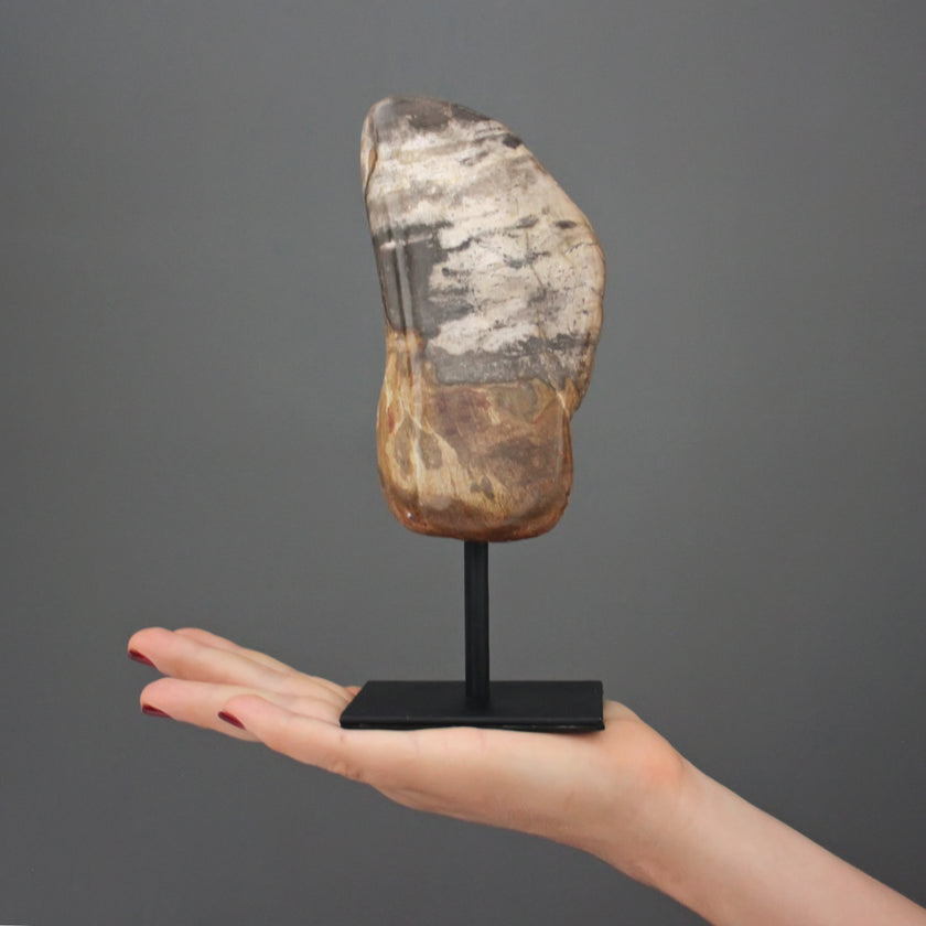 Polished Petrified Wood Freeform on a custom stand PetW/108