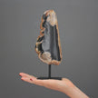 Polished Petrified Wood Freeform on a custom stand PetW/103