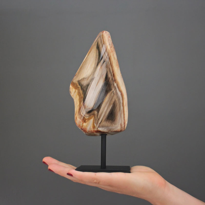 Polished Petrified Wood Freeform on a custom stand PetW/111