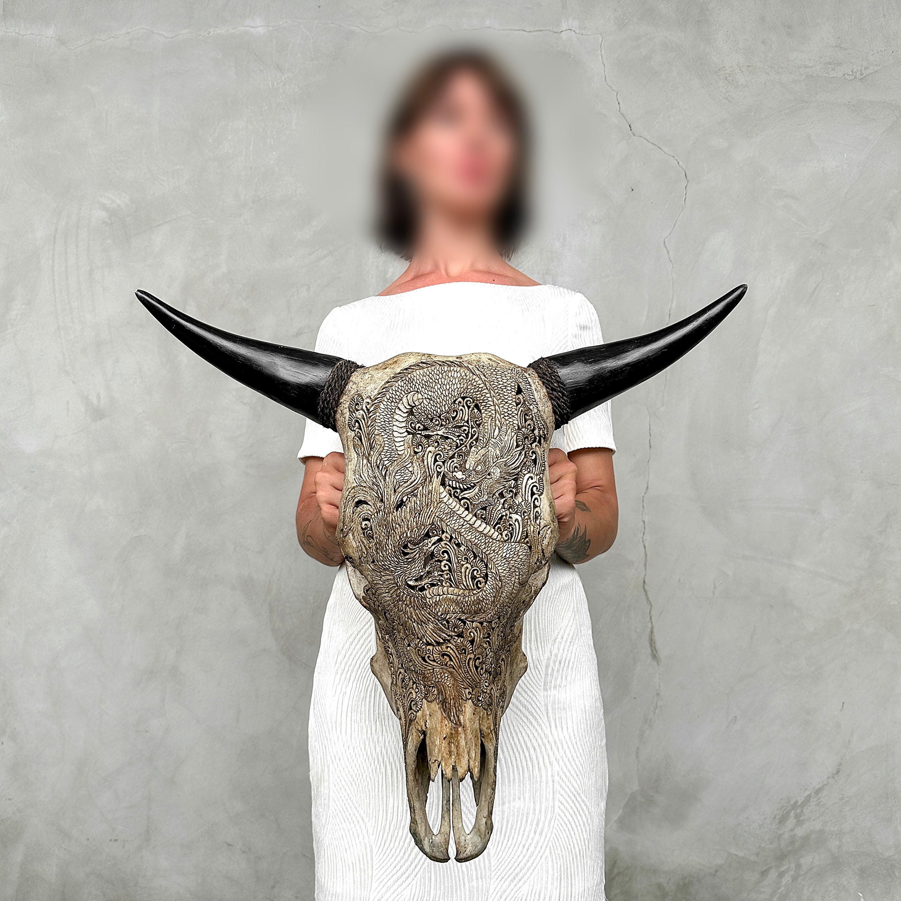 Bull Skull Carved Dragon - Skull,A/155