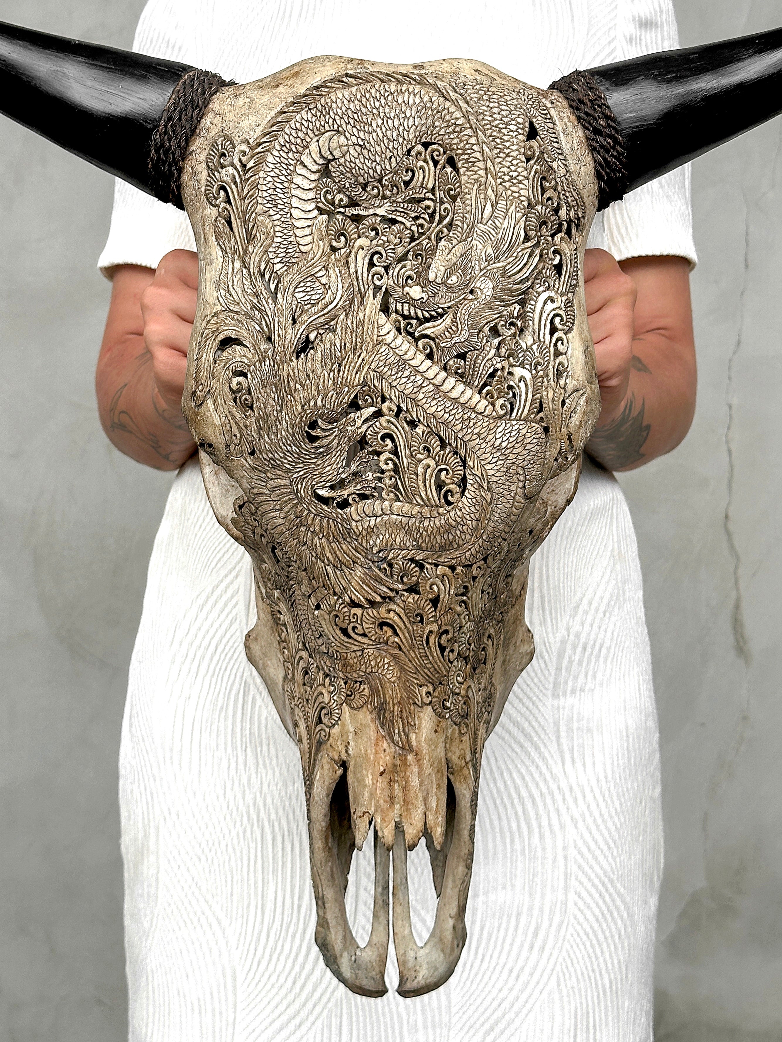 Bull Skull Carved Dragon - Skull,A/155