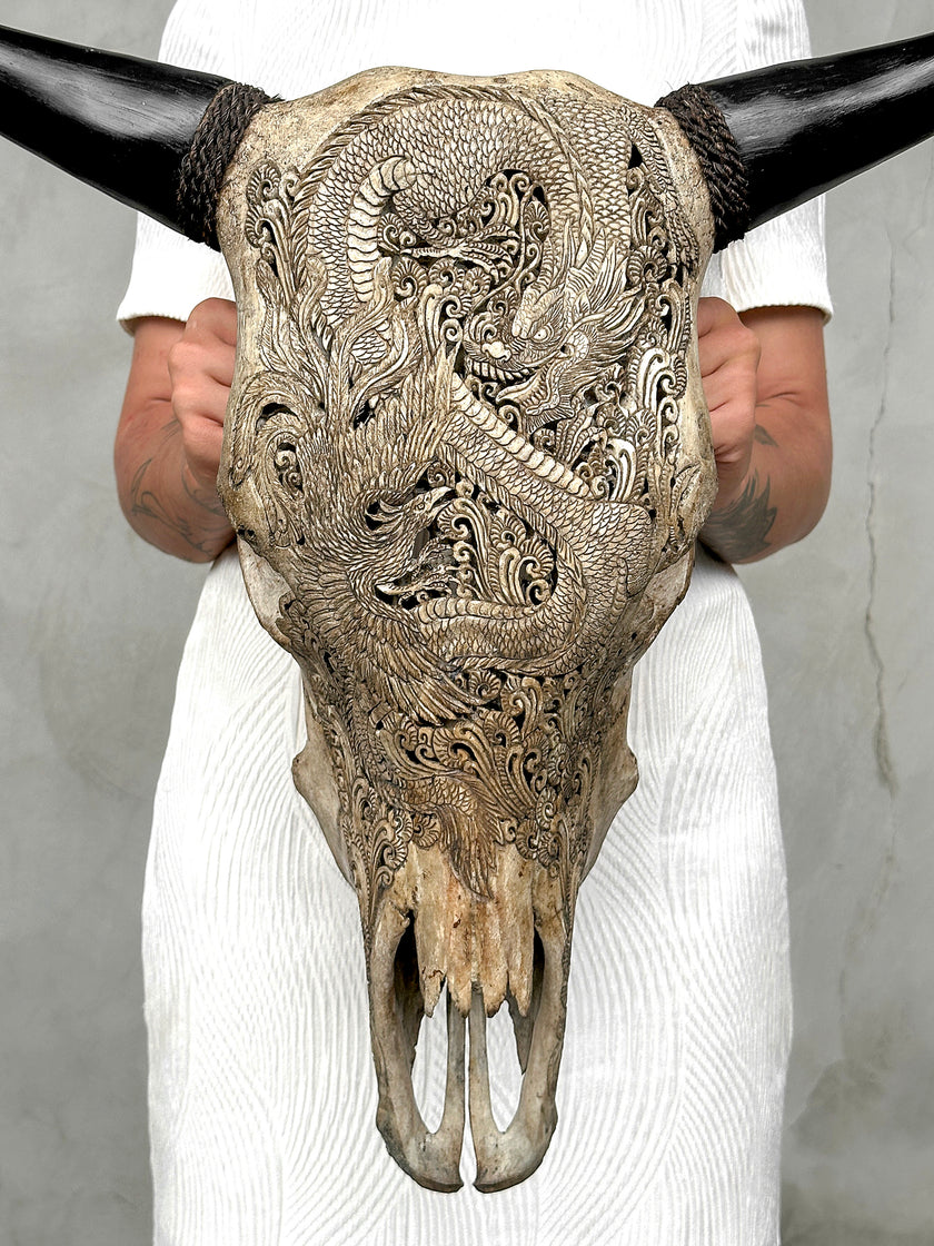Bull Skull Carved Dragon - Skull,A/155
