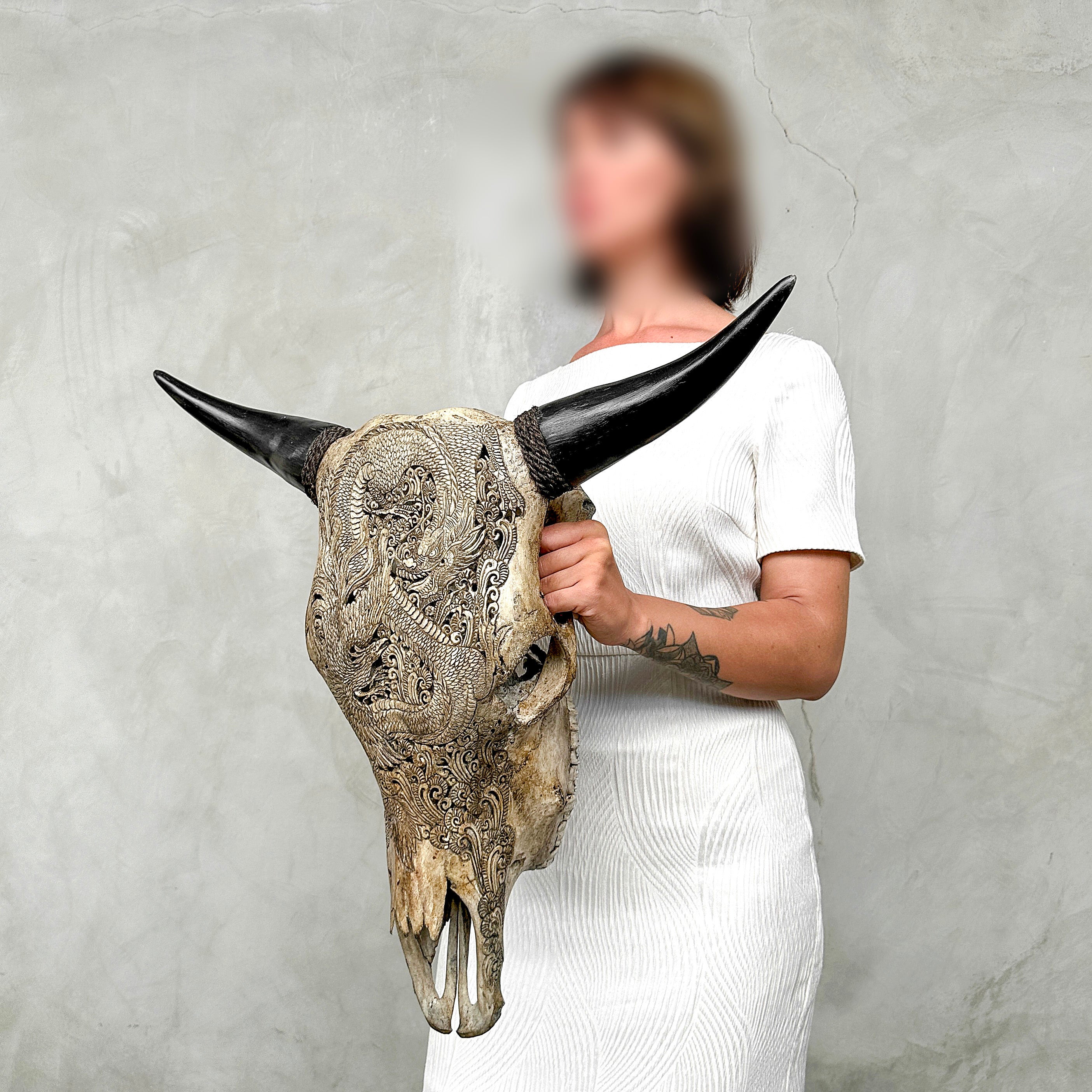 Bull Skull Carved Dragon - Skull,A/155