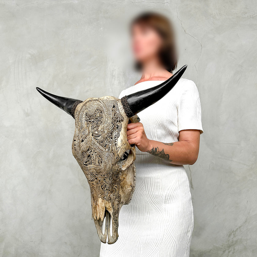 Bull Skull Carved Dragon - Skull,A/155