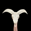 White Ram Skull Carved Horns with Flower Mandala motif on stand - Skull,A/165