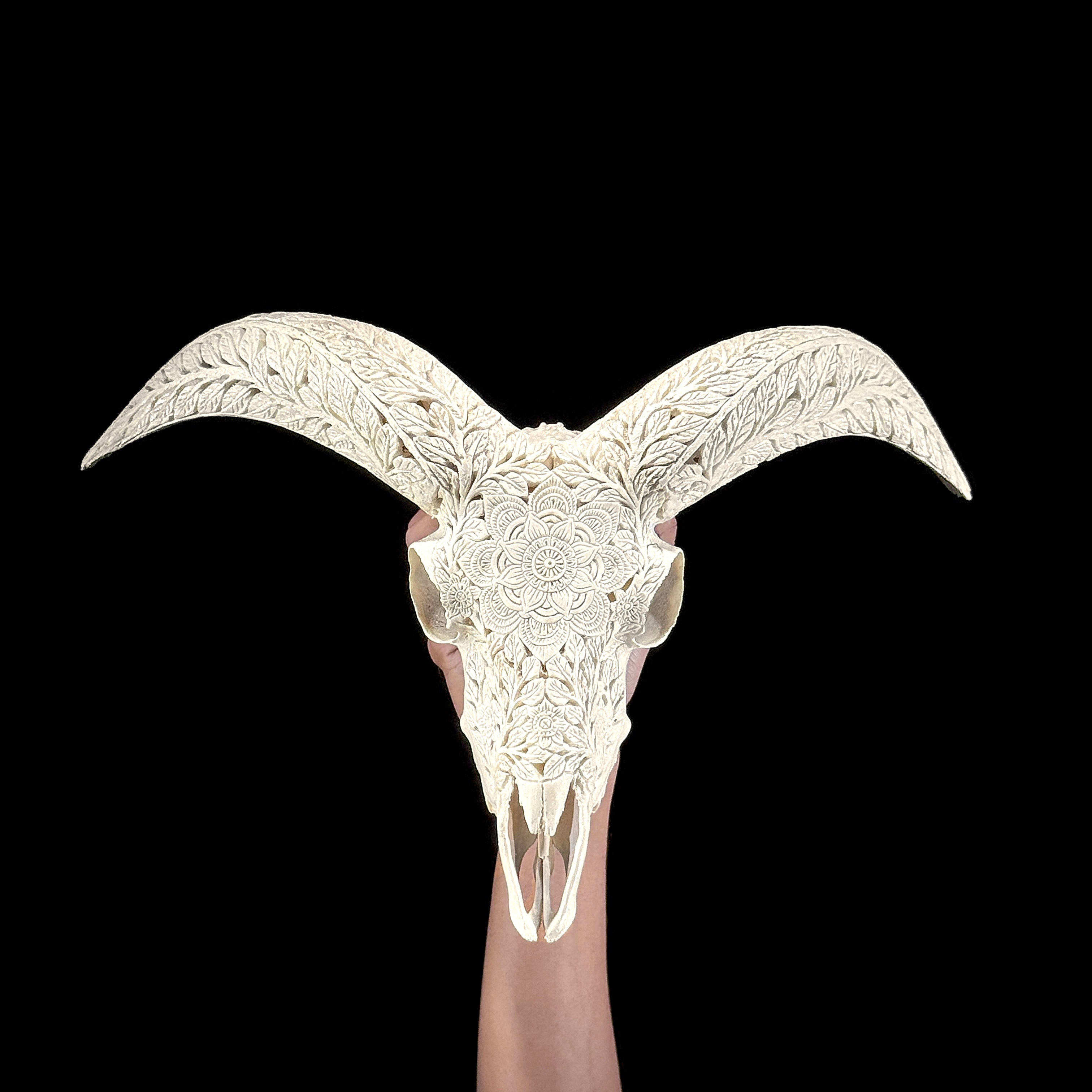 White Ram Skull Carved Horns with Flower Mandala motif on stand - Skull,A/165