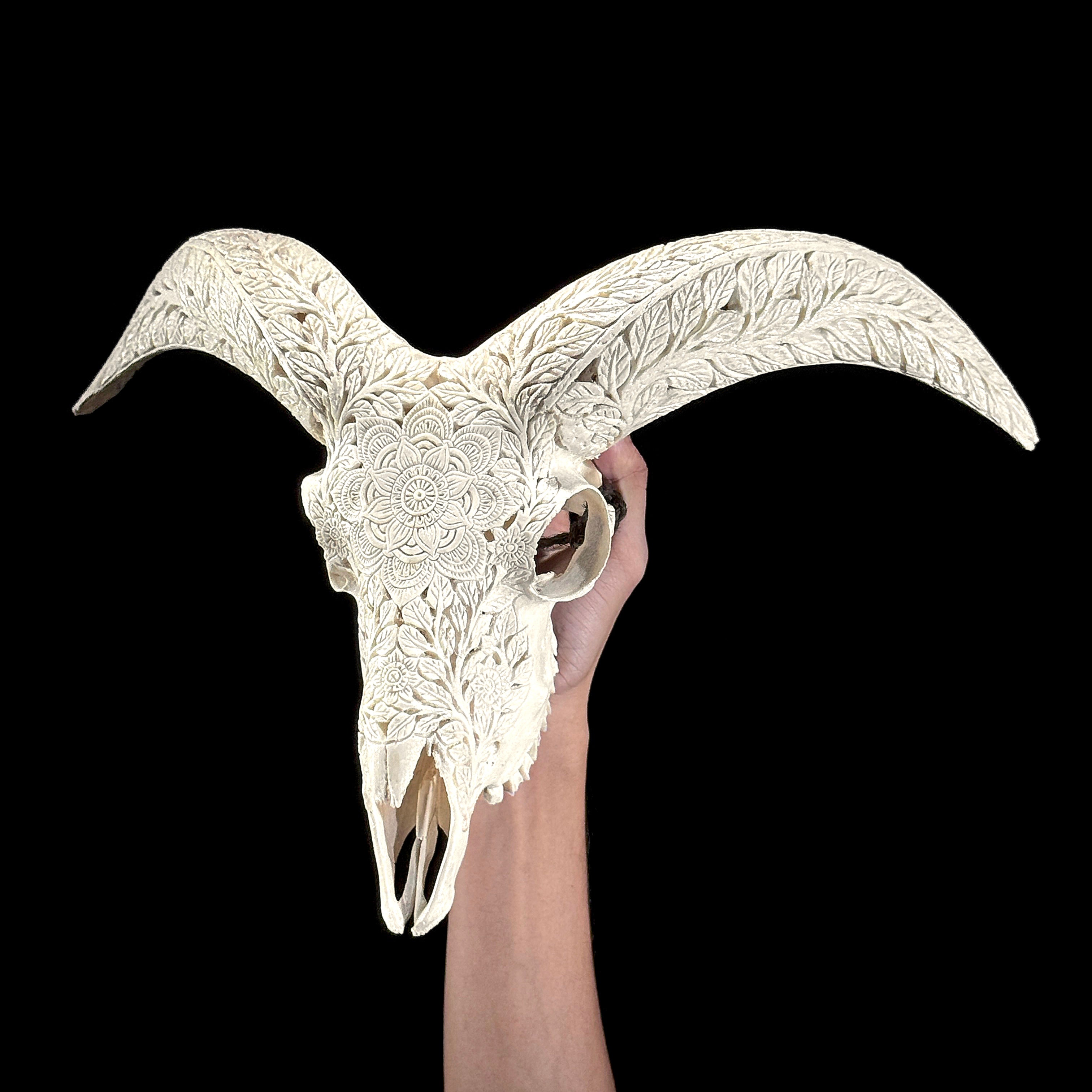 White Ram Skull Carved Horns with Flower Mandala motif on stand - Skull,A/165
