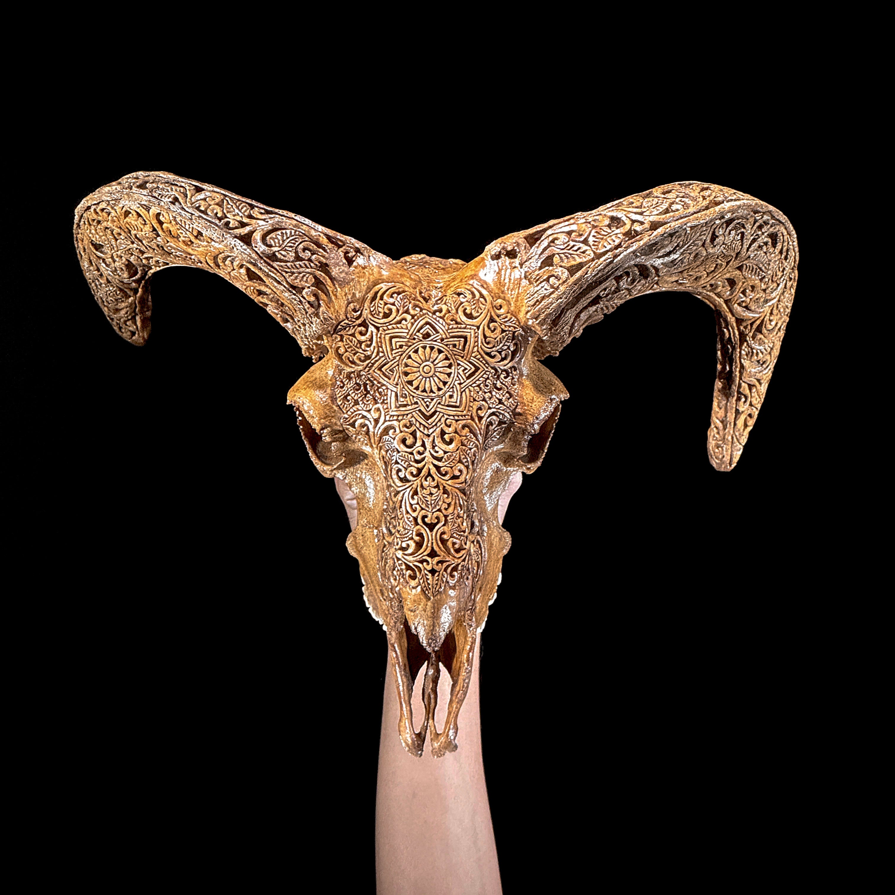 Brown Ram Skull Carved Horns with Star Mandala motif on stand - Skull,A/166