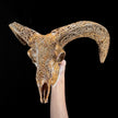 Brown Ram Skull Carved Horns with Star Mandala motif on stand - Skull,A/166