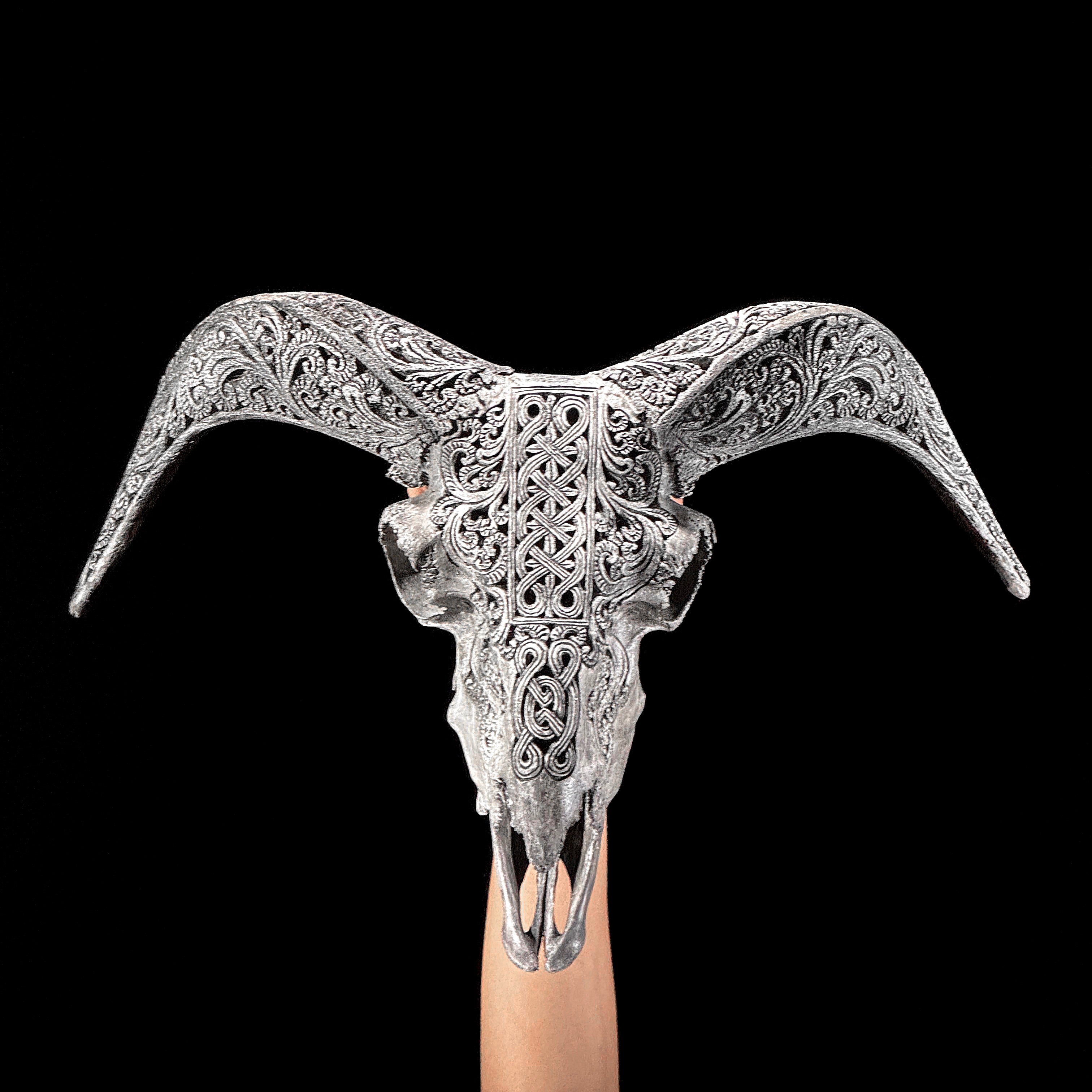 Grey Ram Skull Carved Horns with Infinity motif on stand - Skull,A/164
