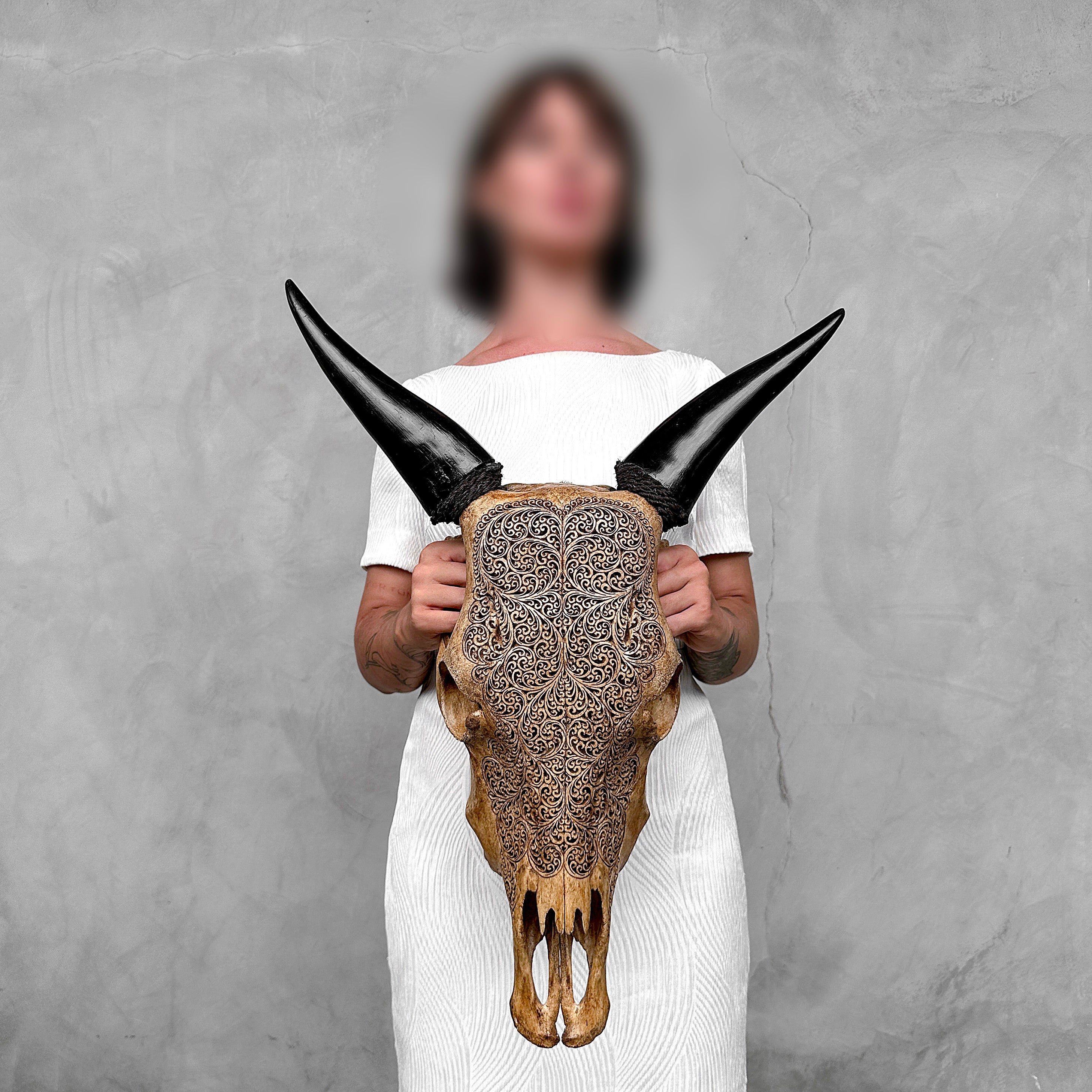 Carved Cow Skulls with Fern Carving Skull,A/183