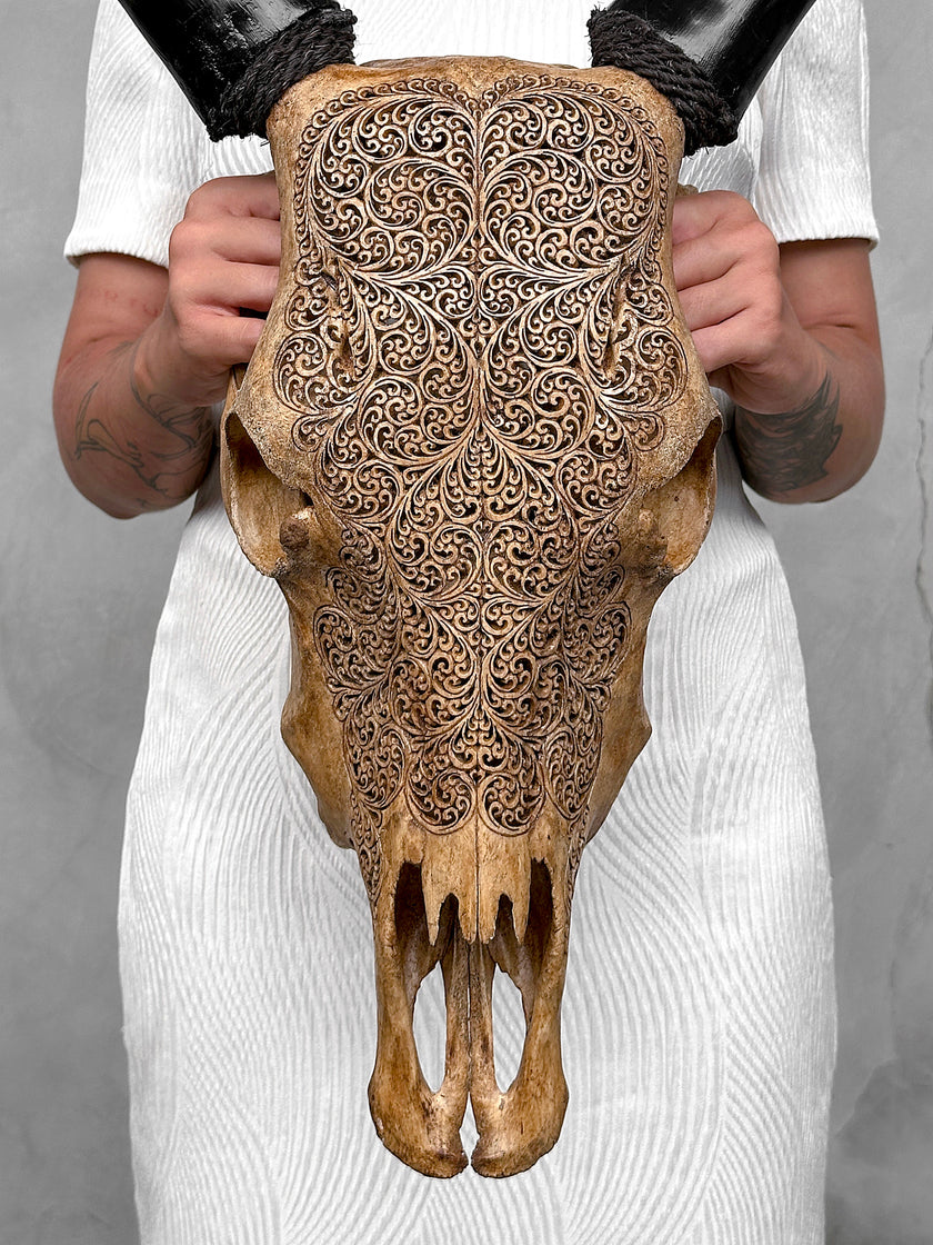 Carved Cow Skulls with Fern Carving Skull,A/183