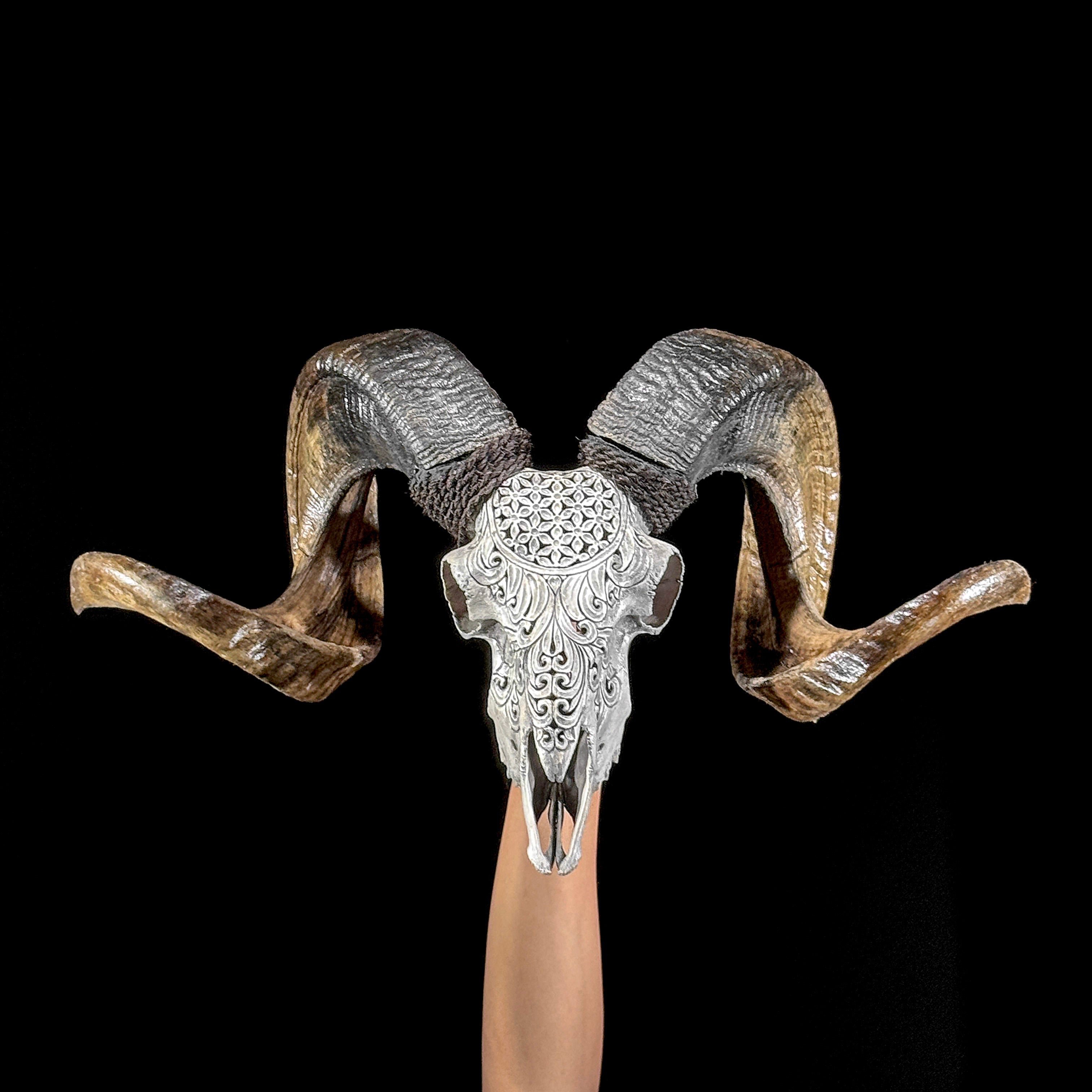 Carved Ram Skull with Flower Of life motif on stand - Skull,A/158