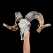Carved Ram Skull with Flower Of life motif on stand - Skull,A/158