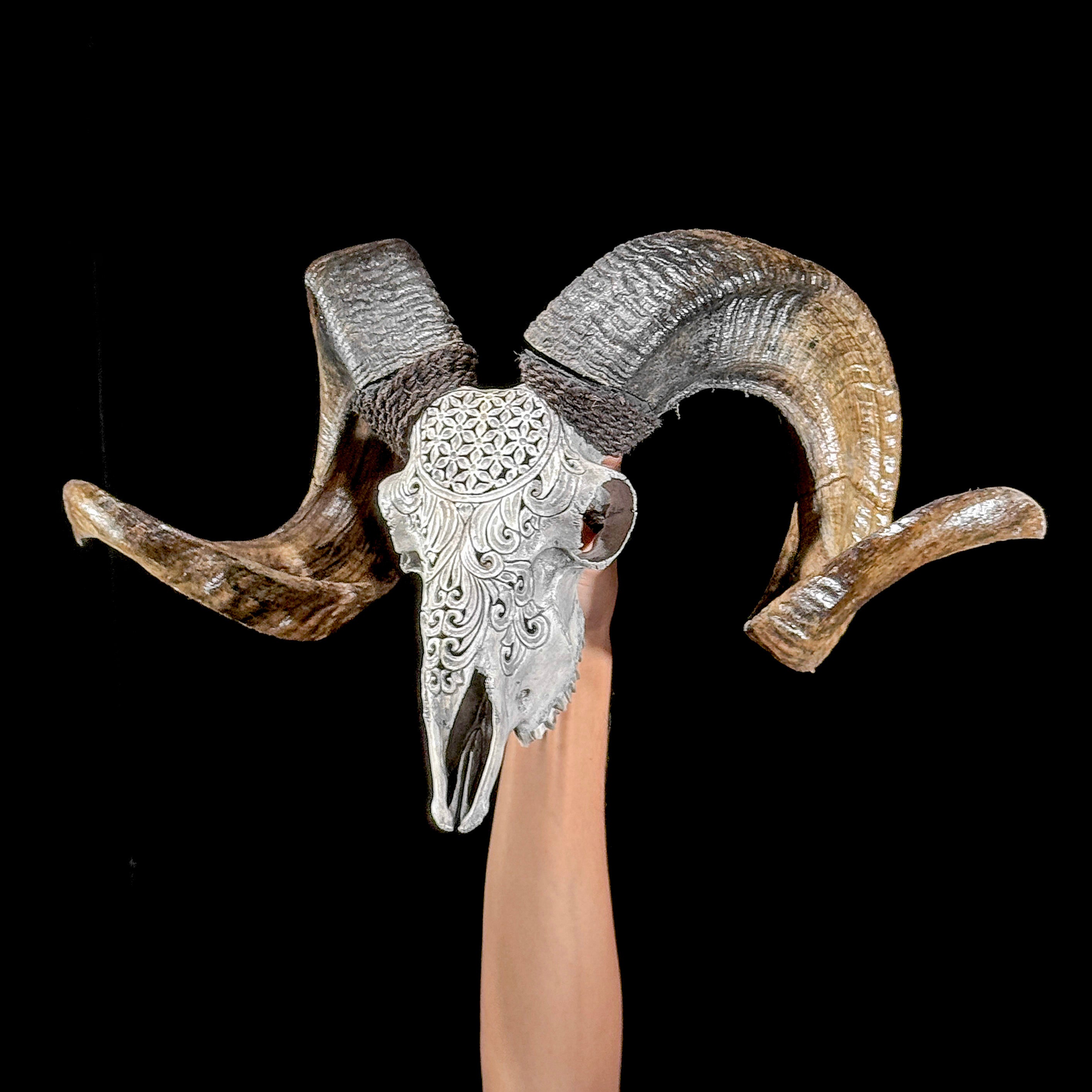 Carved Ram Skull with Flower Of life motif on stand - Skull,A/158