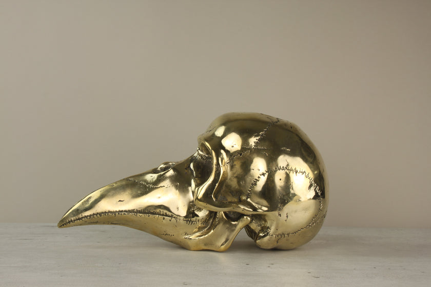 Mythical Dayak Bird Head Polished Large