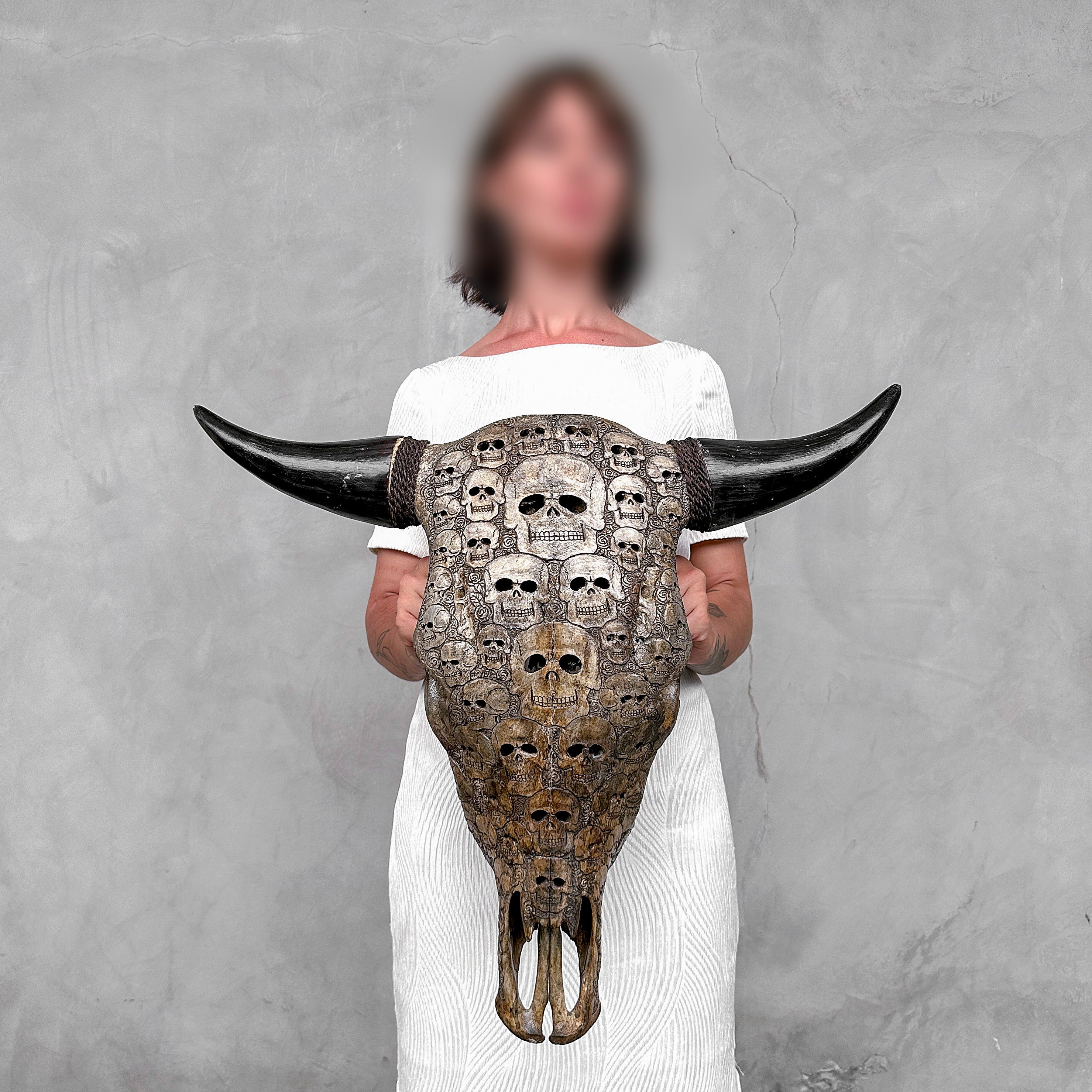 Bull Skull Carved Human Skull - Skull,A/156