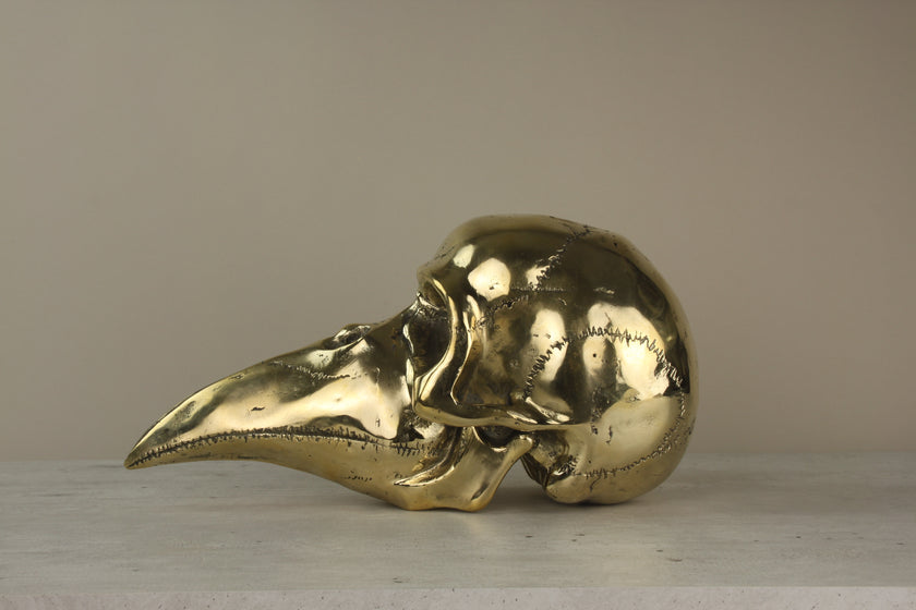 Mythical Dayak Bird Head Polished Large