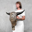 Bull Skull Carved Human Skull - Skull,A/156