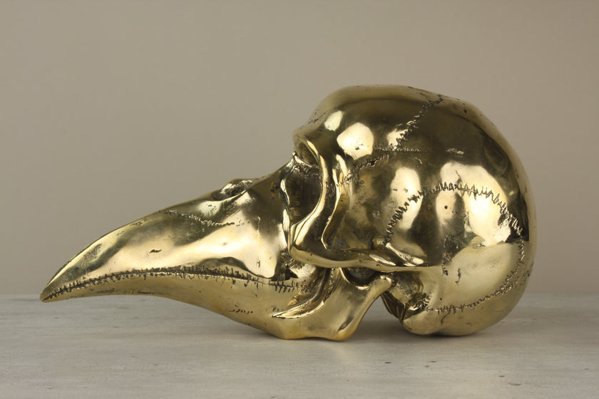 Mythical Dayak Bird Head Polished Large
