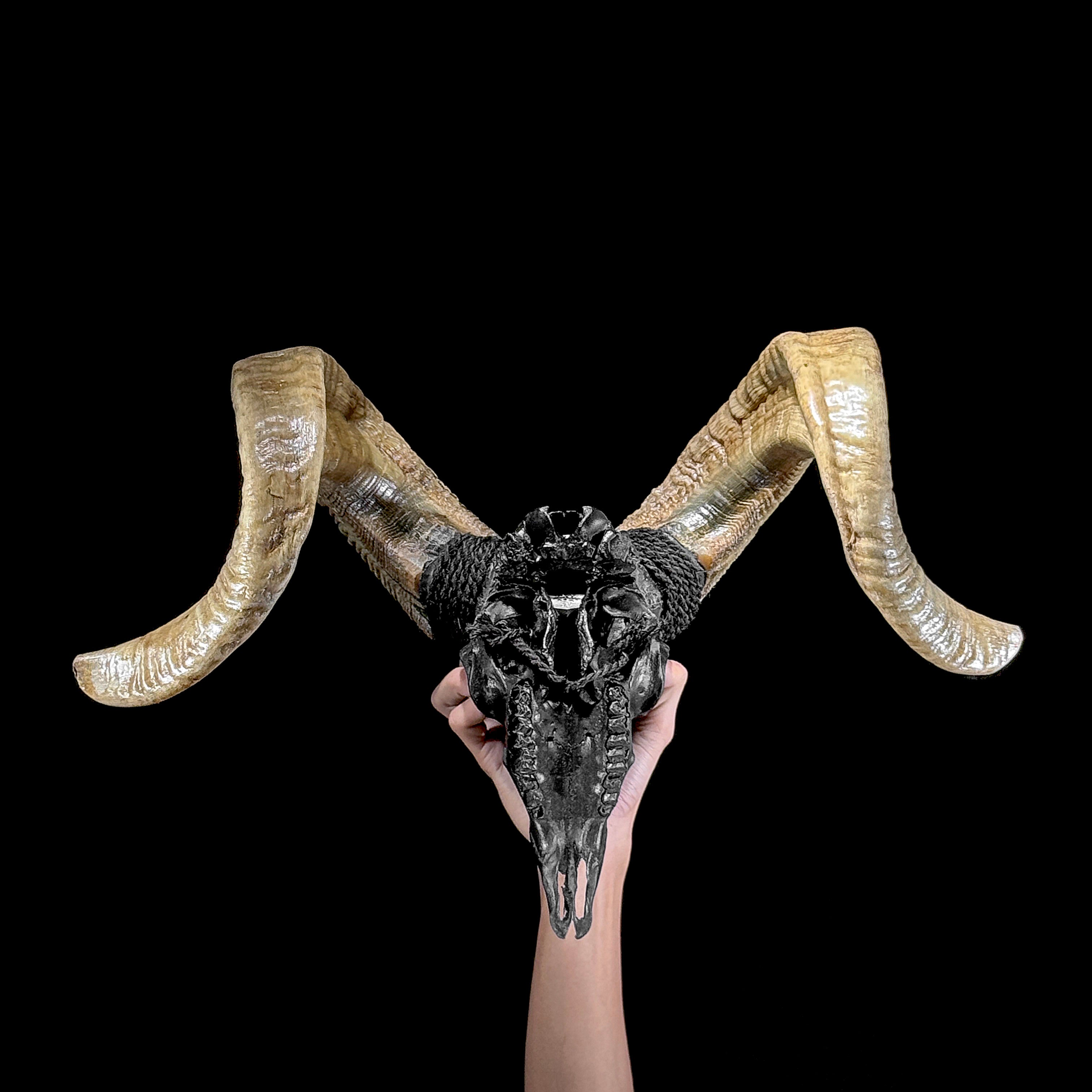 Carved Ram Skull with Tradbal motif on stand - Skull,A/157