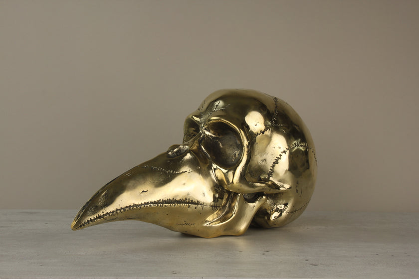 Mythical Dayak Bird Head Polished Large