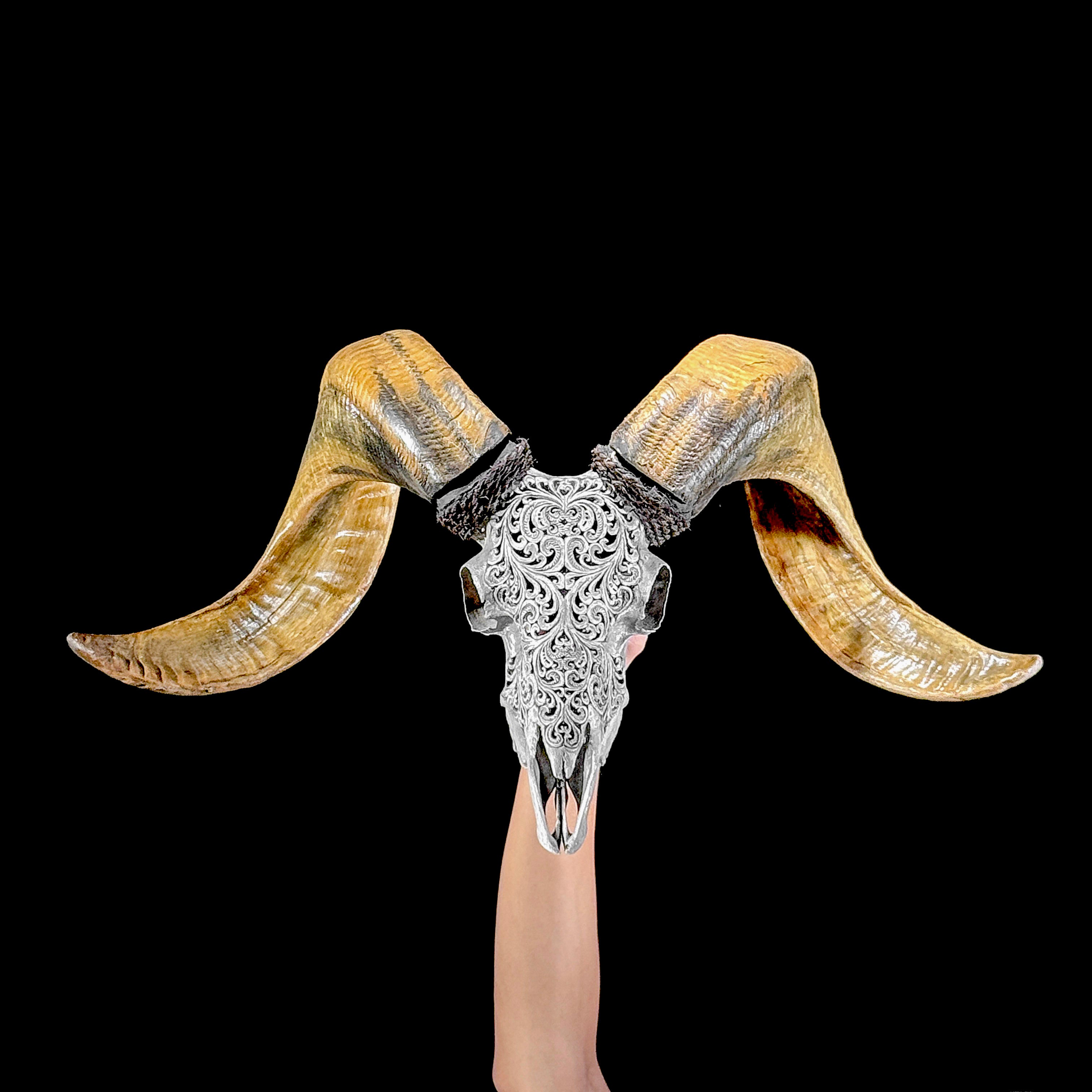 Carved Ram Skull with Tradbal motif on stand - Skull,A/159