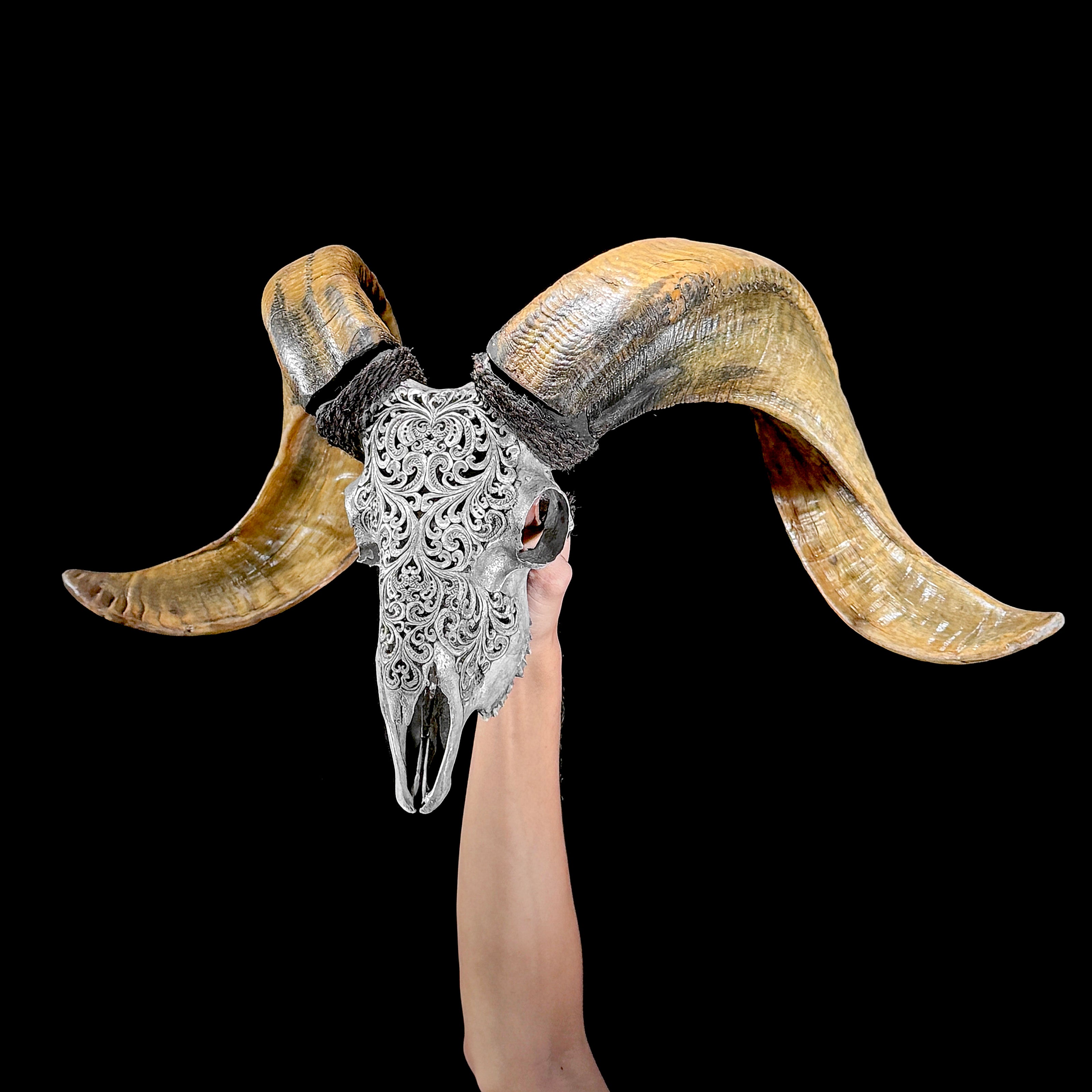 Carved Ram Skull with Tradbal motif on stand - Skull,A/159