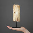 Polished Petrified Wood Freeform on a custom stand PetW/110