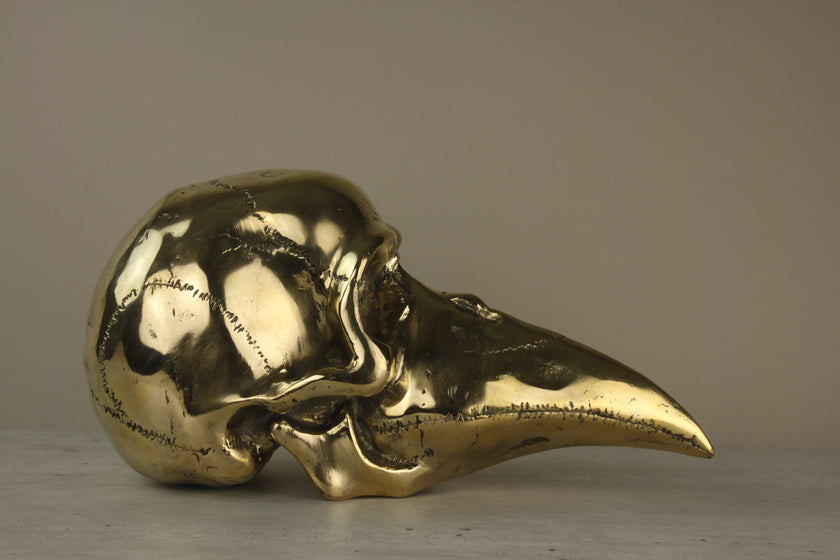 Mythical Dayak Bird Head Polished Large