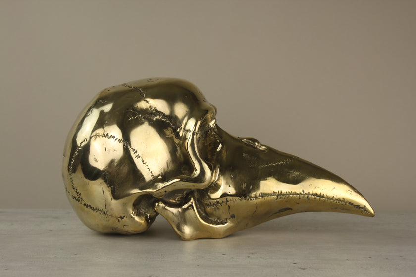 Mythical Dayak Bird Head Polished Large