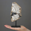 Polished Petrified Wood Freeform on a custom stand PetW/102