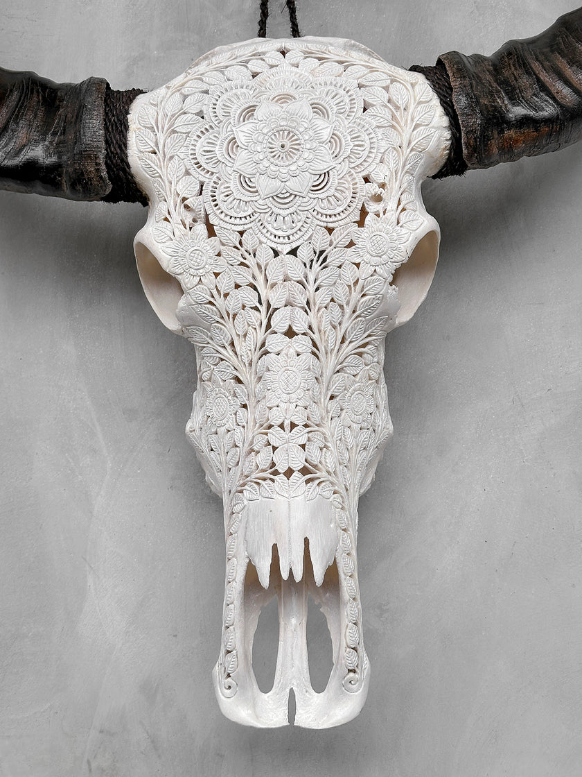 Caved Waterbuffalo Skulls with Flower Mandala Carving Skull,A/170