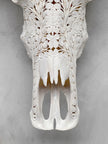 Caved Waterbuffalo Skulls with Flower Mandala Carving Skull,A/170
