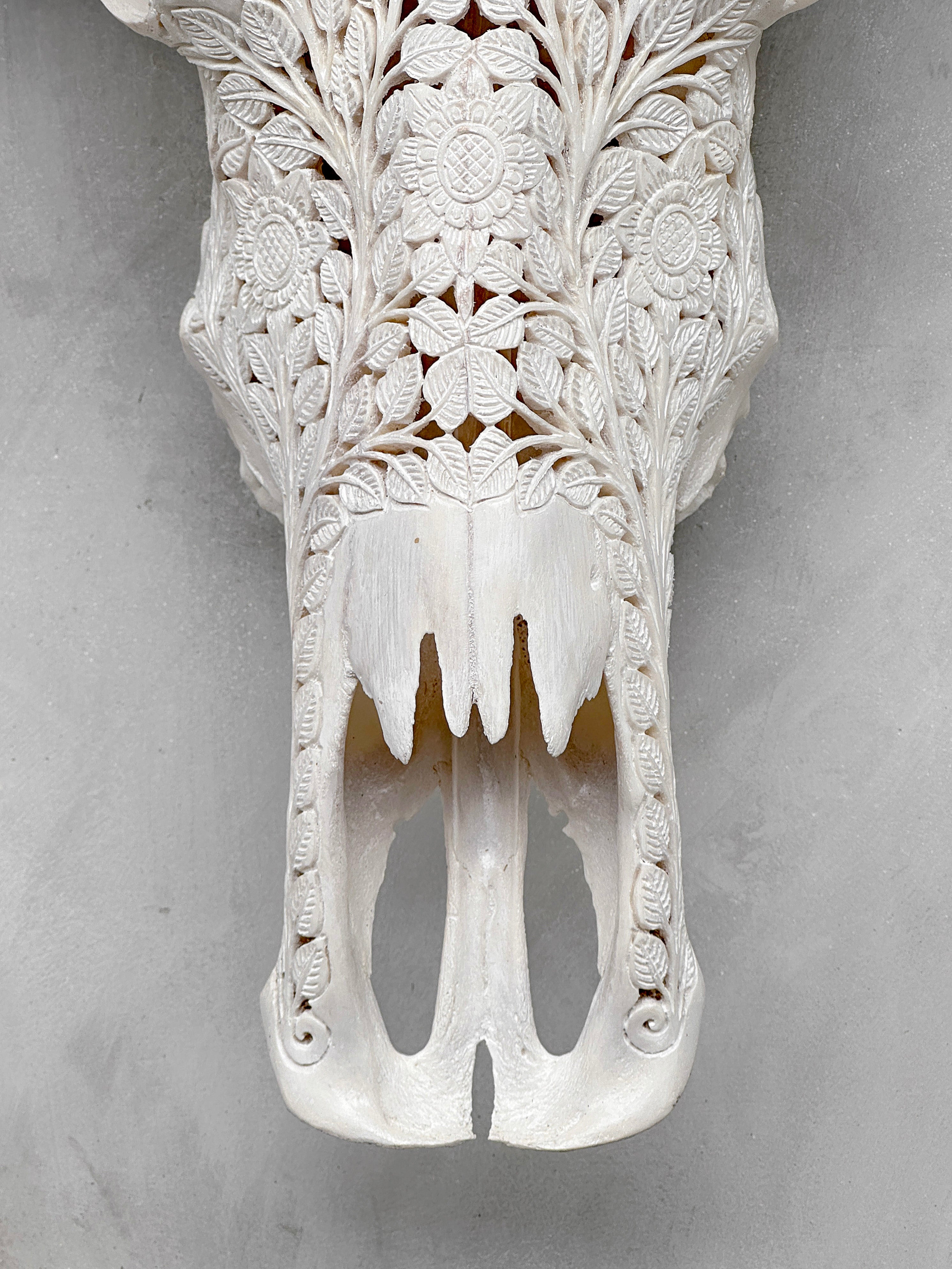 Caved Waterbuffalo Skulls with Flower Mandala Carving Skull,A/170